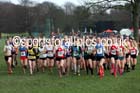 Womens under-17 Northern Cross Country Champs., Witton Park, Blackburn. Photo: David T. Hewitson/Sports for All Pics